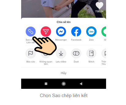 chon-sao-chep-lien-ket